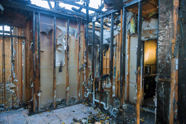 Professional Soot Cleanup technician working in Nocatee, FL